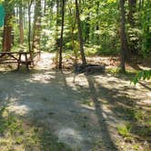 Review photo of Tidewater Campground by Jean C., July 15, 2021