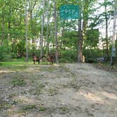 Review photo of Tidewater Campground by Jean C., July 15, 2021