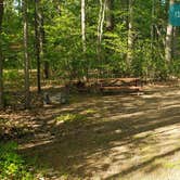 Review photo of Tidewater Campground by Jean C., July 15, 2021