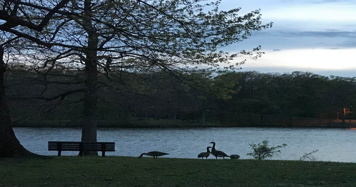 Bear Creek Lake Recreation Area Camping The Dyrt