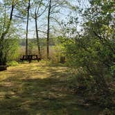 Review photo of Tidewater Campground by Jean C., July 15, 2021