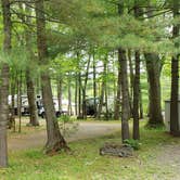 Review photo of Tidewater Campground by Jean C., July 15, 2021