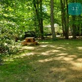 Review photo of Tidewater Campground by Jean C., July 15, 2021