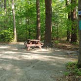 Review photo of Tidewater Campground by Jean C., July 15, 2021