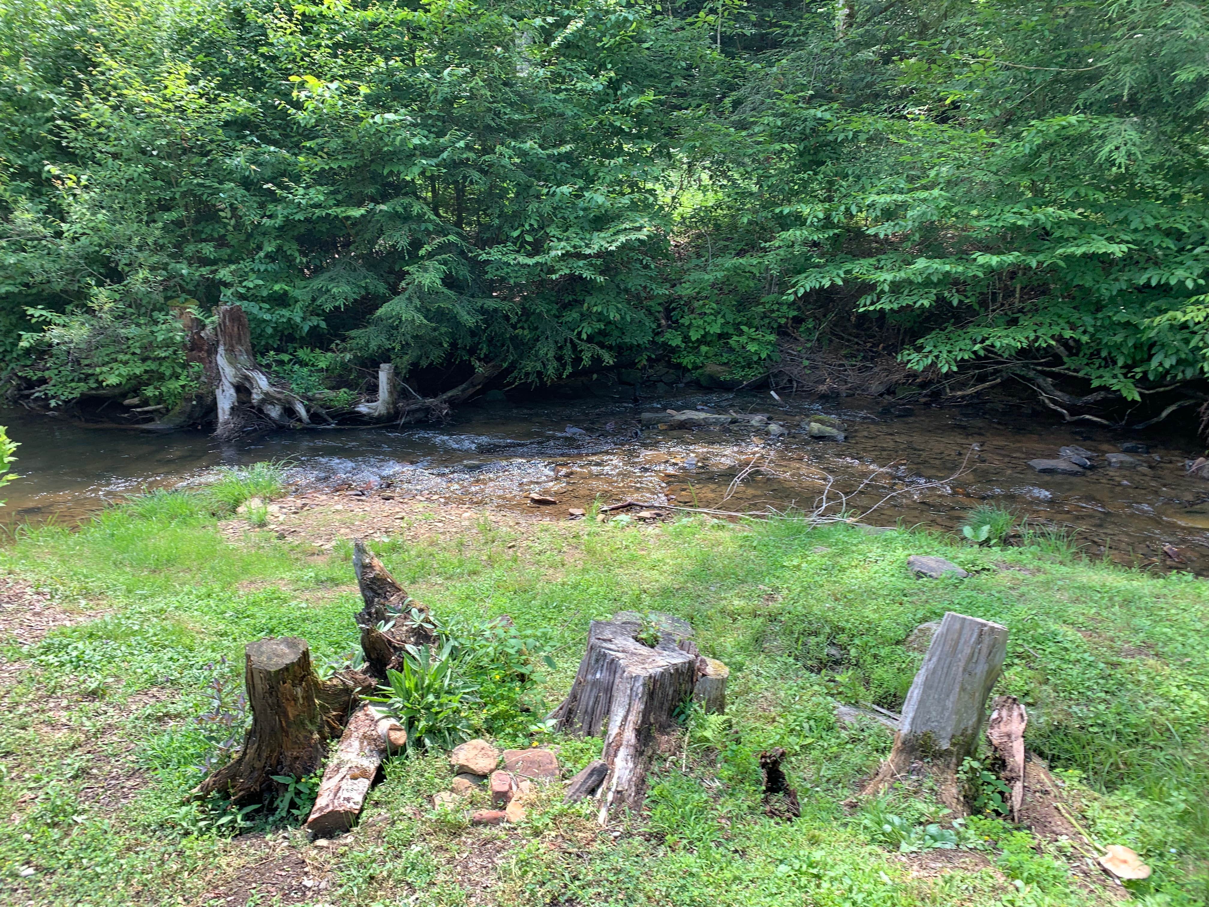 Camper-submitted photo at Whispering Winds Campground near Allegheny National Forest