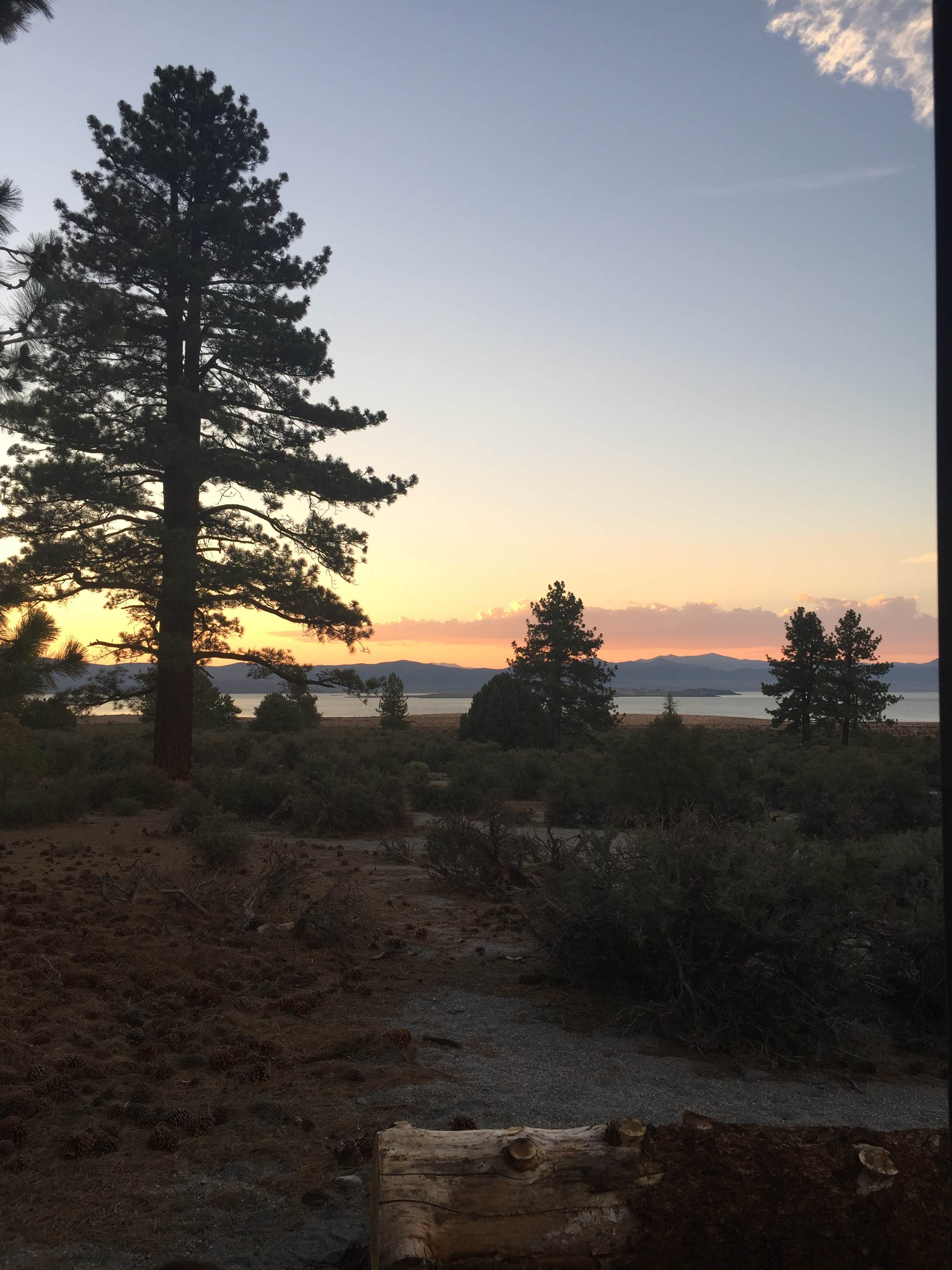 Matthew  R.'s photo of a dispersed camping area at Mono Lake South Dispersed near Lee Vining, CA