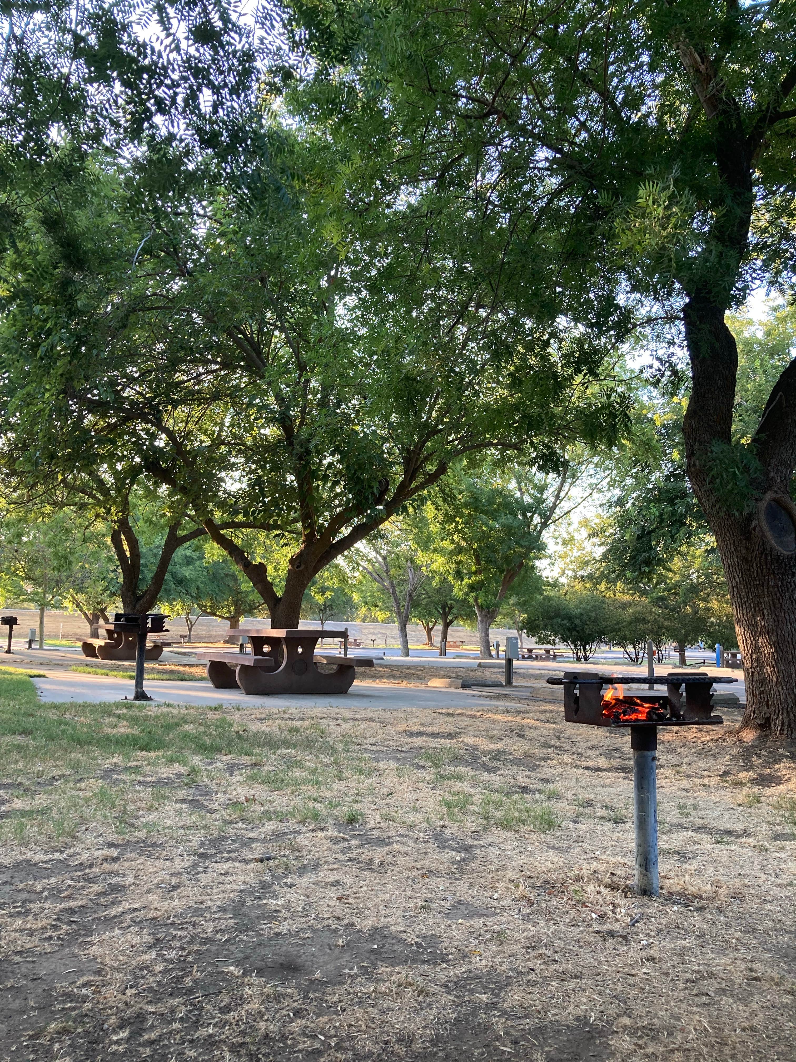 Camper-submitted photo at Colusa-Sacramento River State Recreation Area Campground near Williams, CA