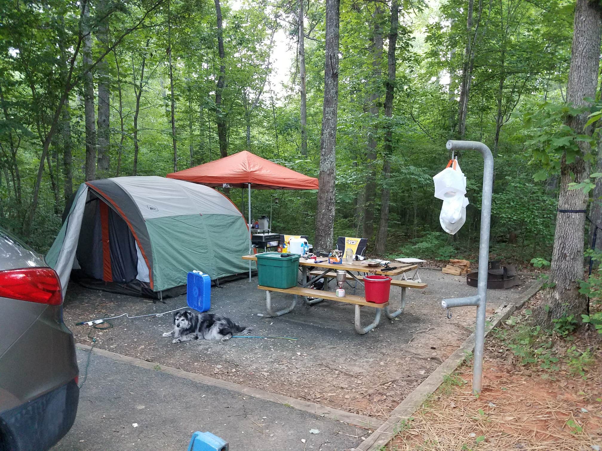 Andrea N.'s photo at Holliday Lake State Park Campground near Burkeville, VA