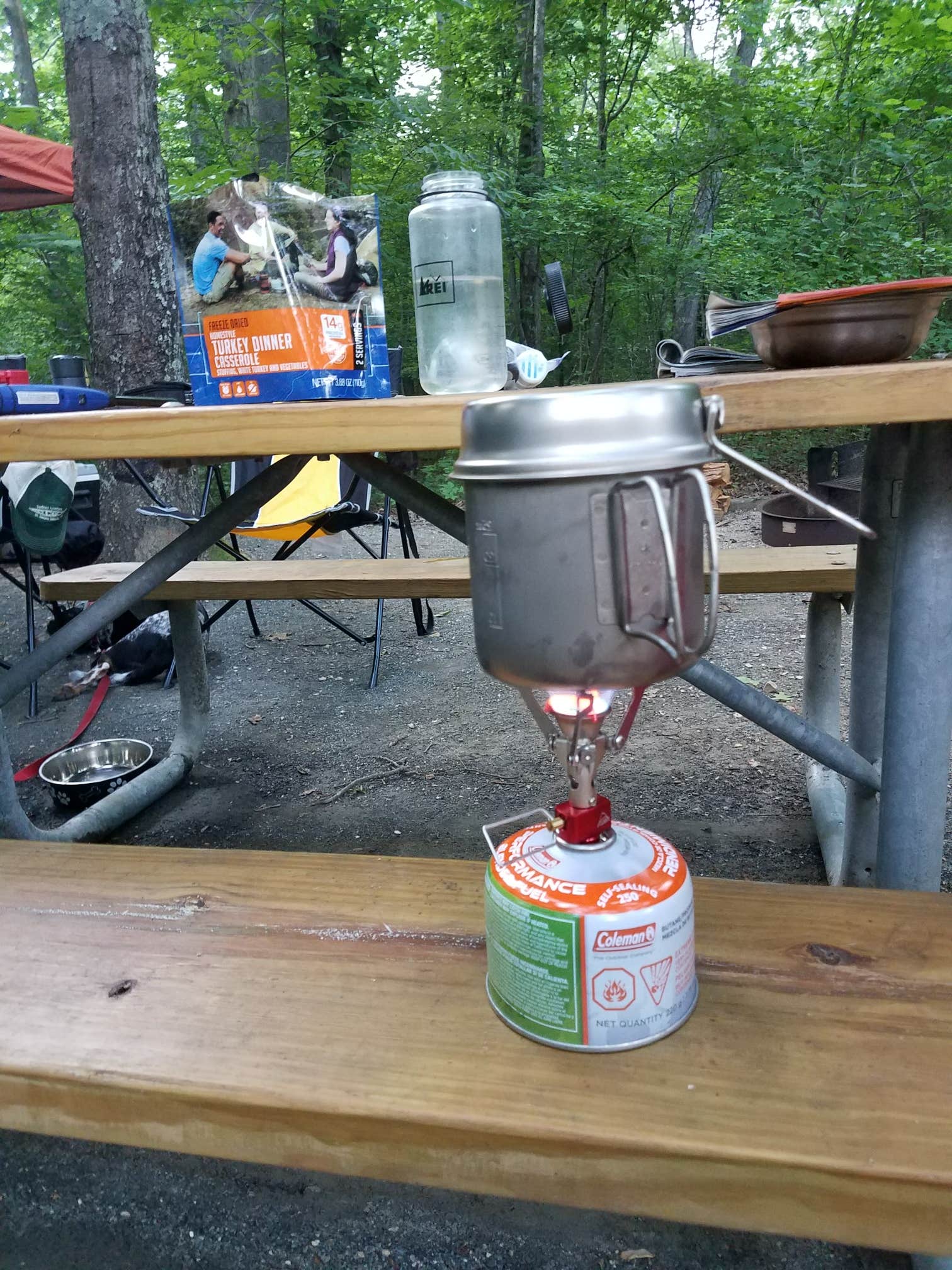 Camper-submitted photo at Holliday Lake State Park Campground near Altavista, VA