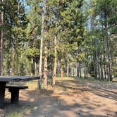 Review photo of Madison Campground — Yellowstone National Park by Thomas W., July 15, 2021