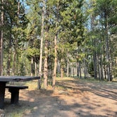 Review photo of Madison Campground — Yellowstone National Park by Thomas W., July 15, 2021