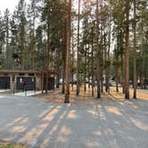 Review photo of Madison Campground — Yellowstone National Park by Thomas W., July 15, 2021