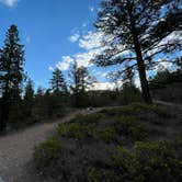 Review photo of North Campground — Bryce Canyon National Park by Thomas W., July 8, 2021