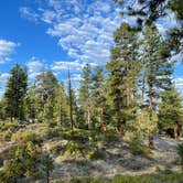 Review photo of North Campground — Bryce Canyon National Park by Thomas W., July 8, 2021