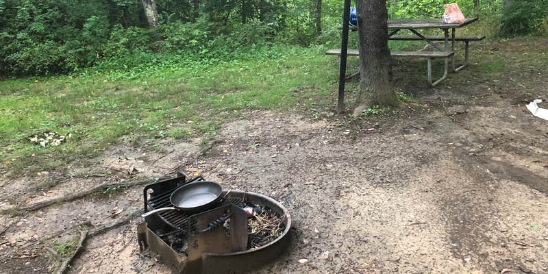 Camper submitted image from Taylorsville Lake State Park Campground