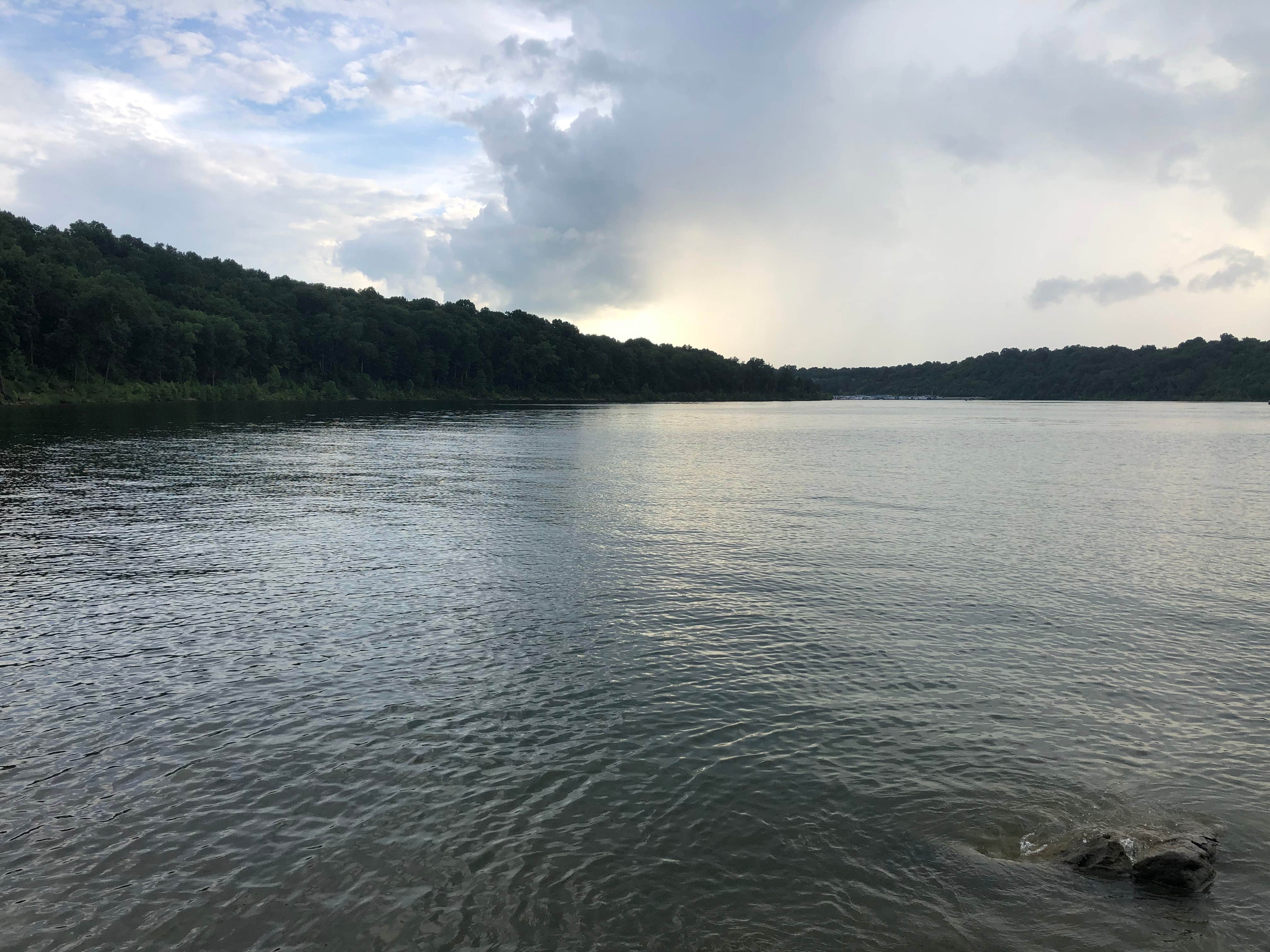 Taylorsville Lake The Dyrt