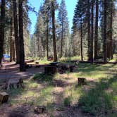 Review photo of Battle Creek Campground by Susan R., July 15, 2021