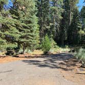 Review photo of Battle Creek Campground by Susan R., July 15, 2021