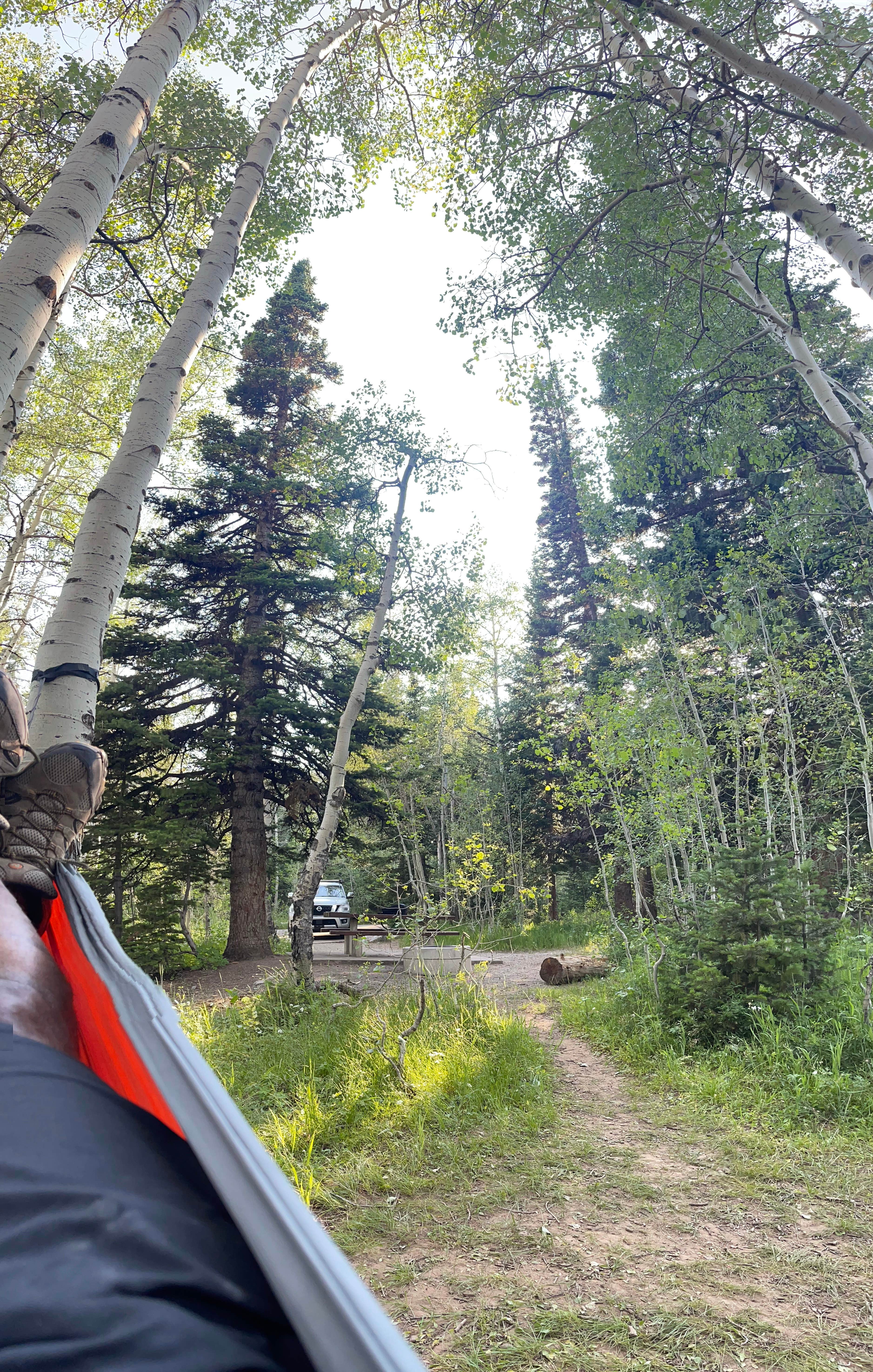 Carlisle B.'s photo at Monte Cristo near Evanston, WY