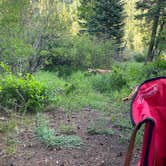 Review photo of Collegiate Peaks by Sarah E., July 15, 2021