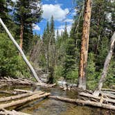 Review photo of Collegiate Peaks by Sarah E., July 15, 2021