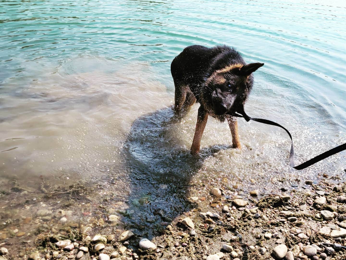hilltop overlook campgroud fort peck lake Camping The Dyrt