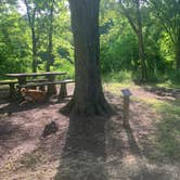 Review photo of Below the Dam Campground by Elizabeth R., July 15, 2021