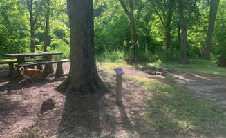 Elizabeth R.'s photo of camping with pets at Below the Dam Campground — Lake Wister State Park in Oklahoma