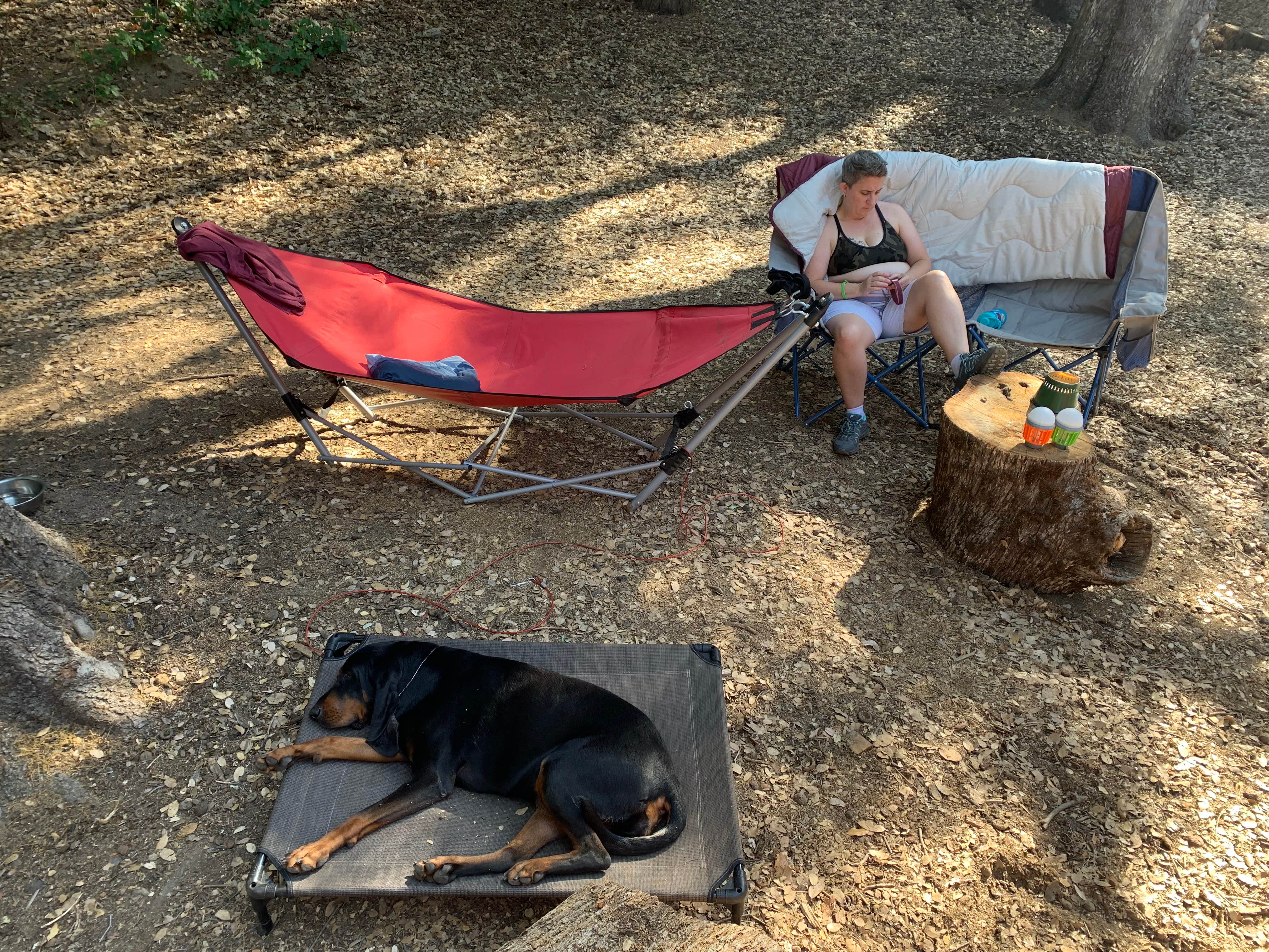 megan's photo of camping with pets at Fry Creek Campground near Cleveland National Forest