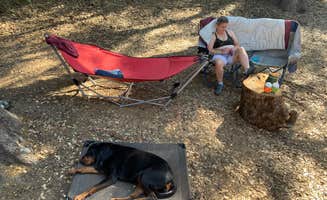 megan's photo of camping with pets at Fry Creek Campground near Cleveland National Forest
