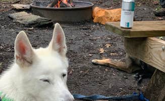Samantha S.'s photo of camping with pets at Clarence Fahnestock State Park Campground near Arden, NY