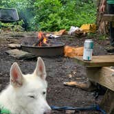 Review photo of Clarence Fahnestock State Park — Clarence Fahnestock Memorial State Park by Samantha S., July 14, 2021