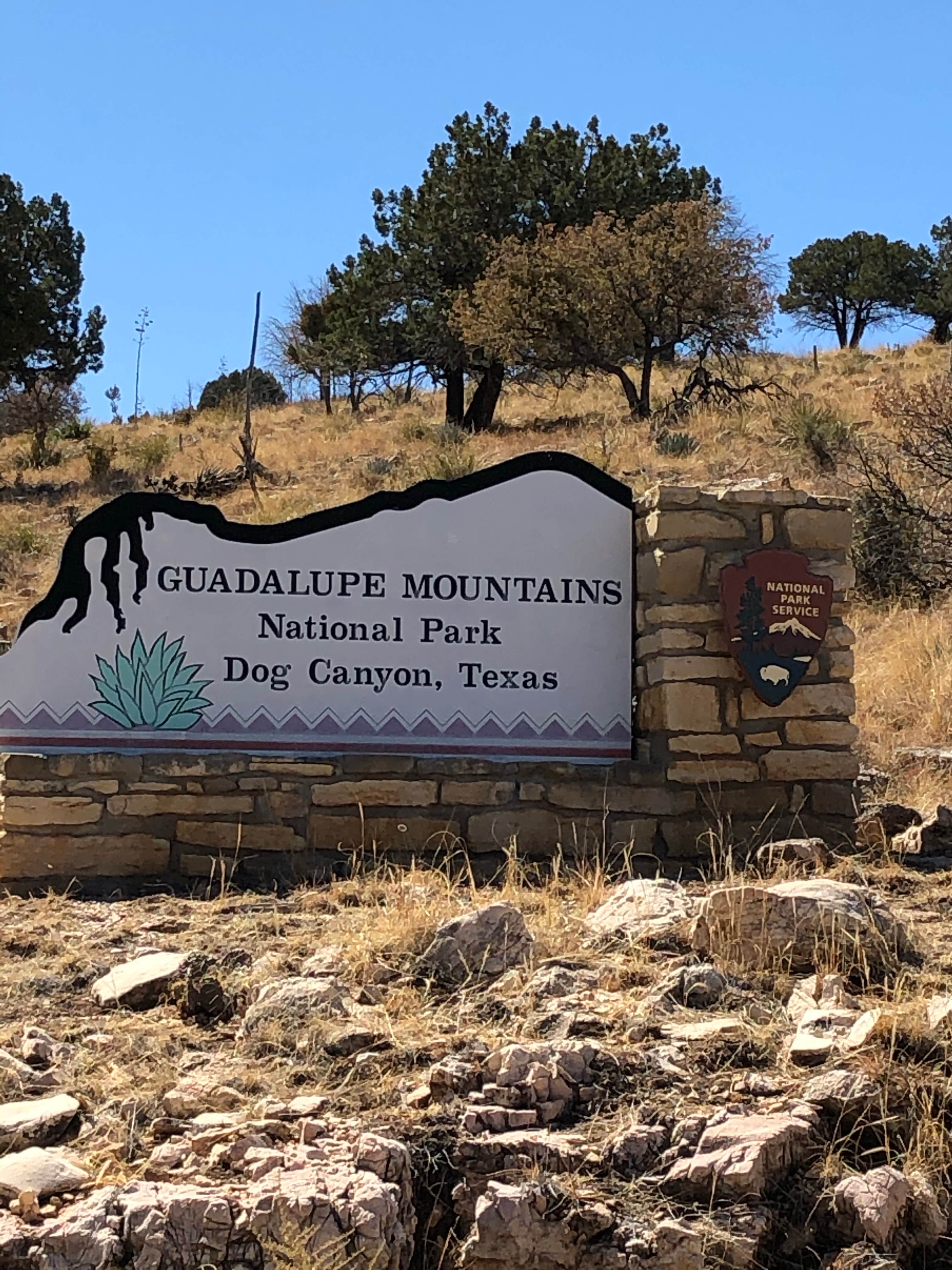 Camper submitted image from Dog Canyon Campground — Guadalupe Mountains National Park - 5