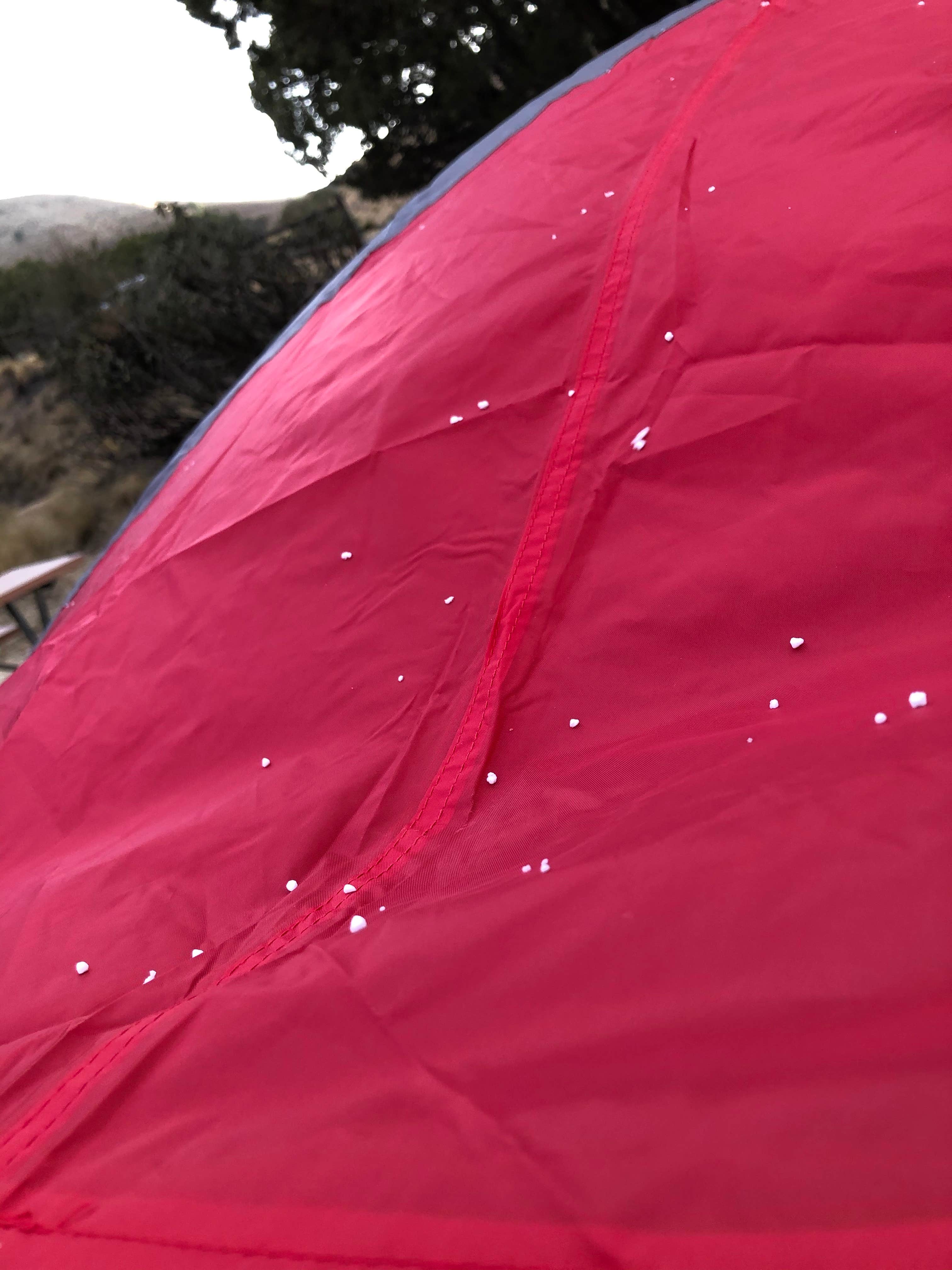 Jenna R.'s photo at Dog Canyon Campground — Guadalupe Mountains National Park near Guadalupe Mountains National Park