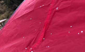 Jenna R.'s photo at Dog Canyon Campground — Guadalupe Mountains National Park near Guadalupe Mountains National Park