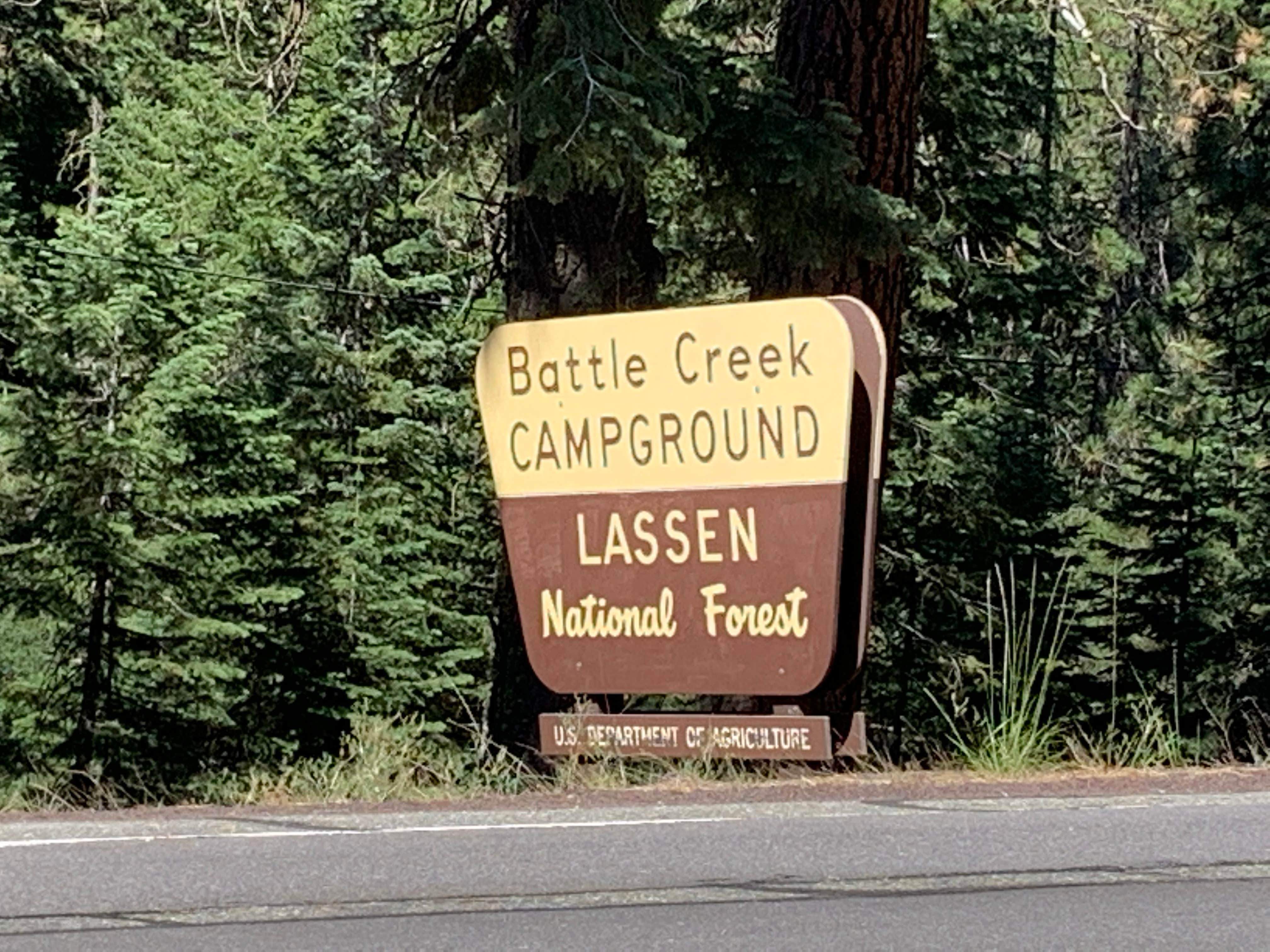 Best camping in ShastaTrinity National Forest The Dyrt