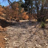 Review photo of Dog Canyon Campground — Guadalupe Mountains National Park by Jenna R., July 15, 2021