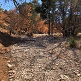 Review photo of Dog Canyon Campground - Guadalupe Mountains National Park by Jenna R., July 15, 2021