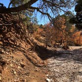 Review photo of Dog Canyon Campground — Guadalupe Mountains National Park by Jenna R., July 15, 2021