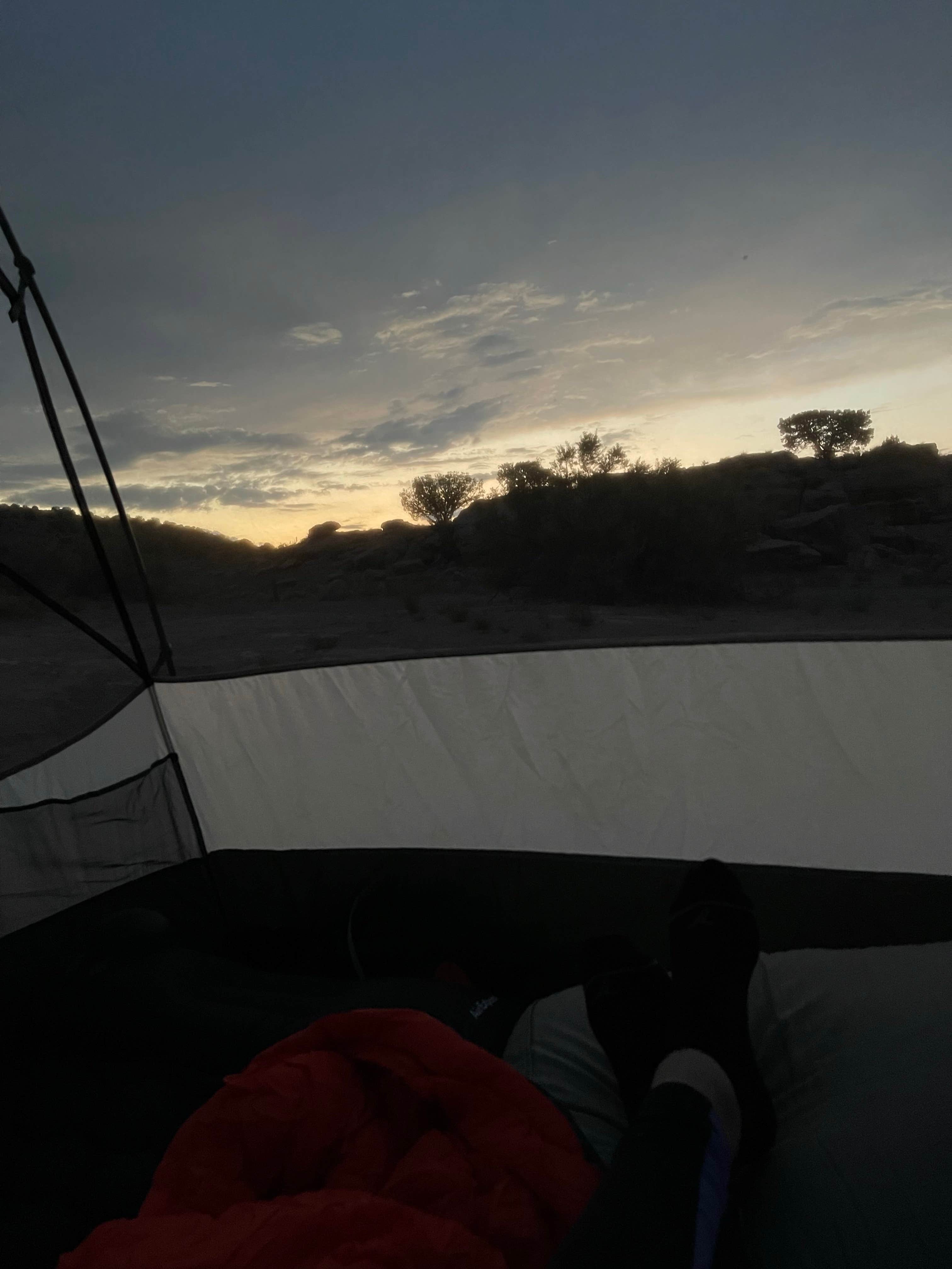 Lucas F.'s photo at Rabbit Valley — Mc Innis Canyons National Conservation Area near Loma, CO