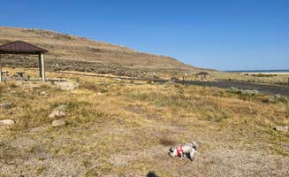 Hope S.'s photo of camping with pets at Bridger Bay Campground — Antelope Island State Park near Grantsville, UT