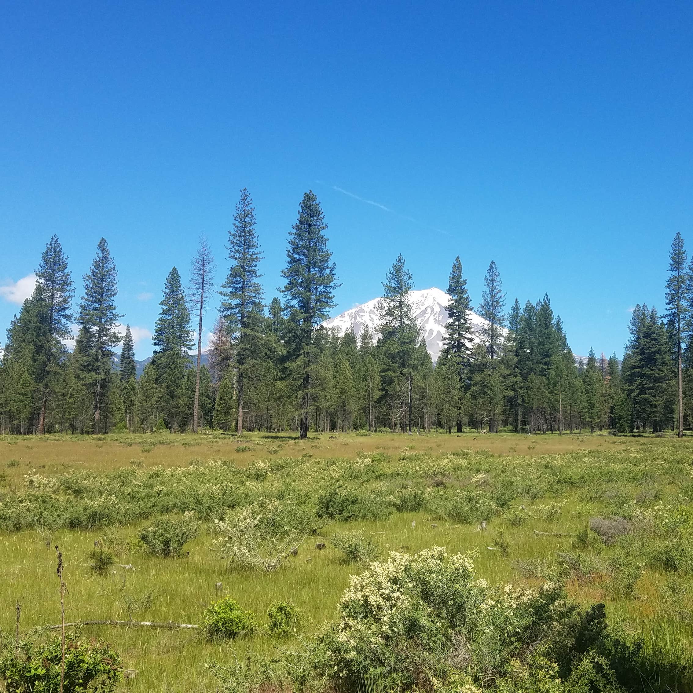 Trout Creek Campground Potter Valley, CA