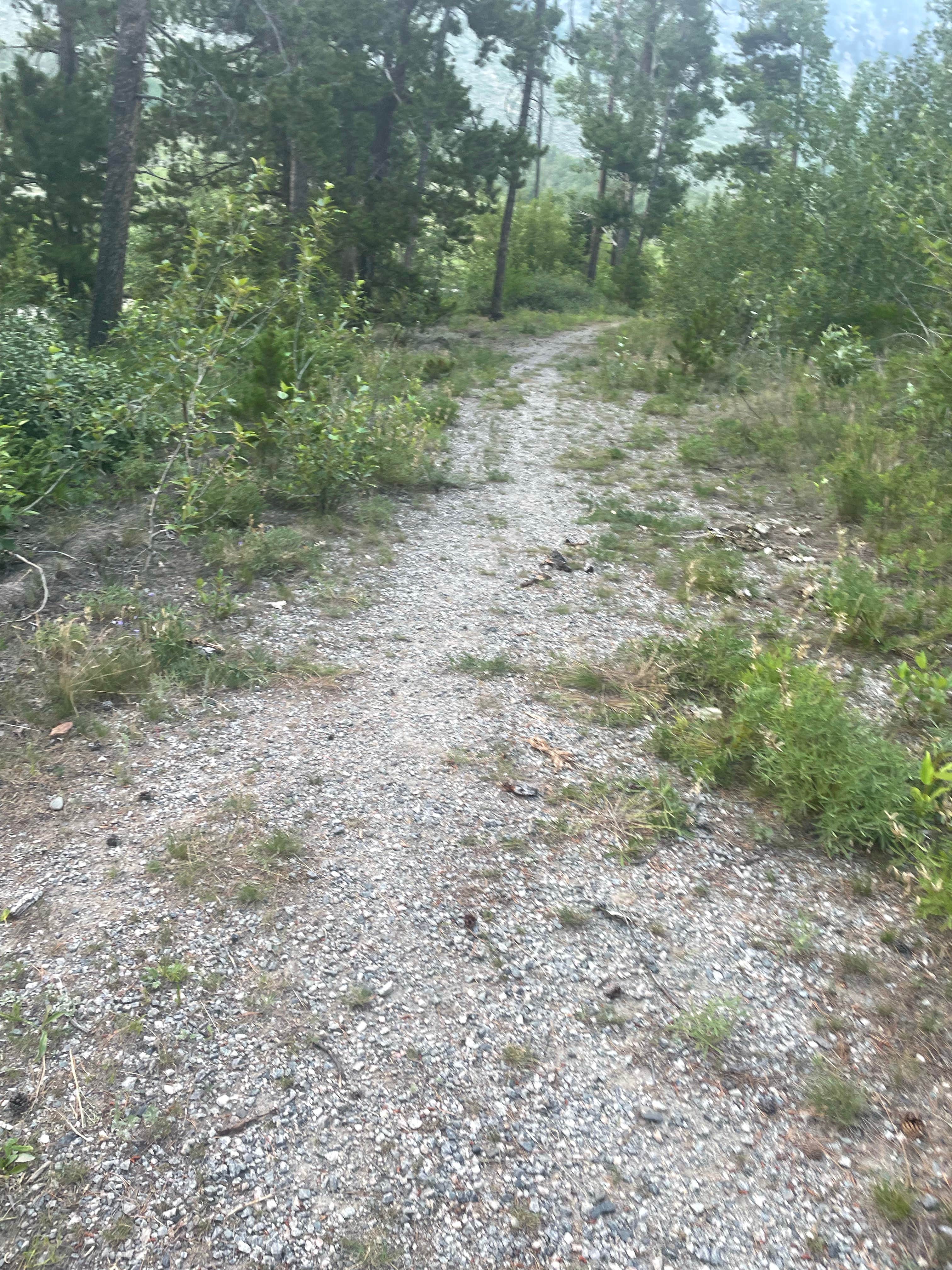 Camper-submitted photo at Jimmy Joe Campground near Roscoe, MT