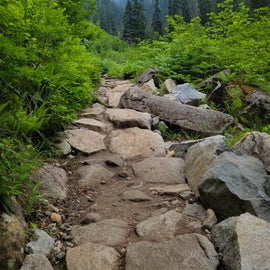 the hike up Denny creek trail- the ascent begins