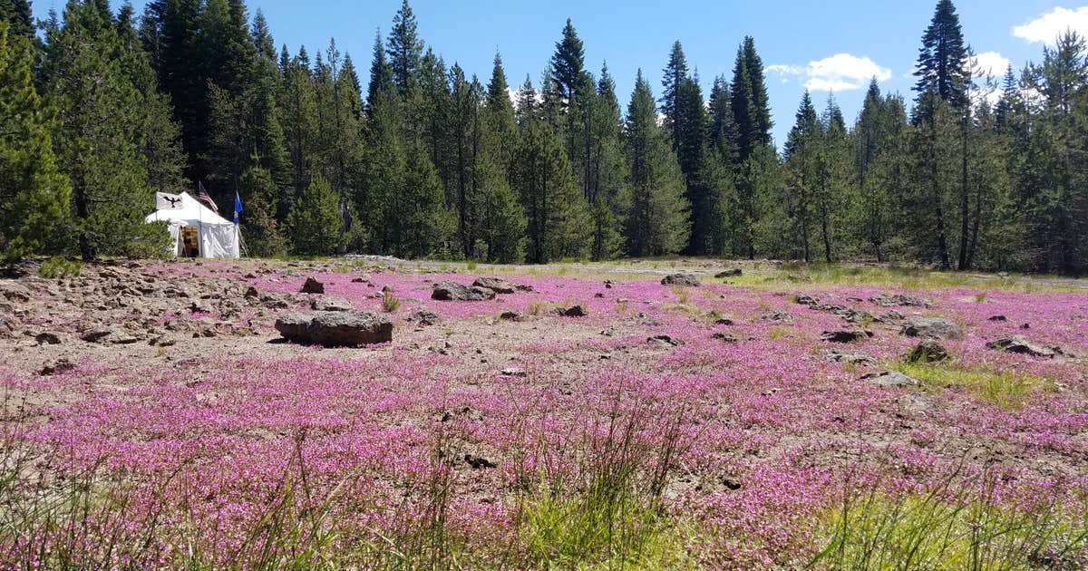 Trout Creek Campground Potter Valley, CA
