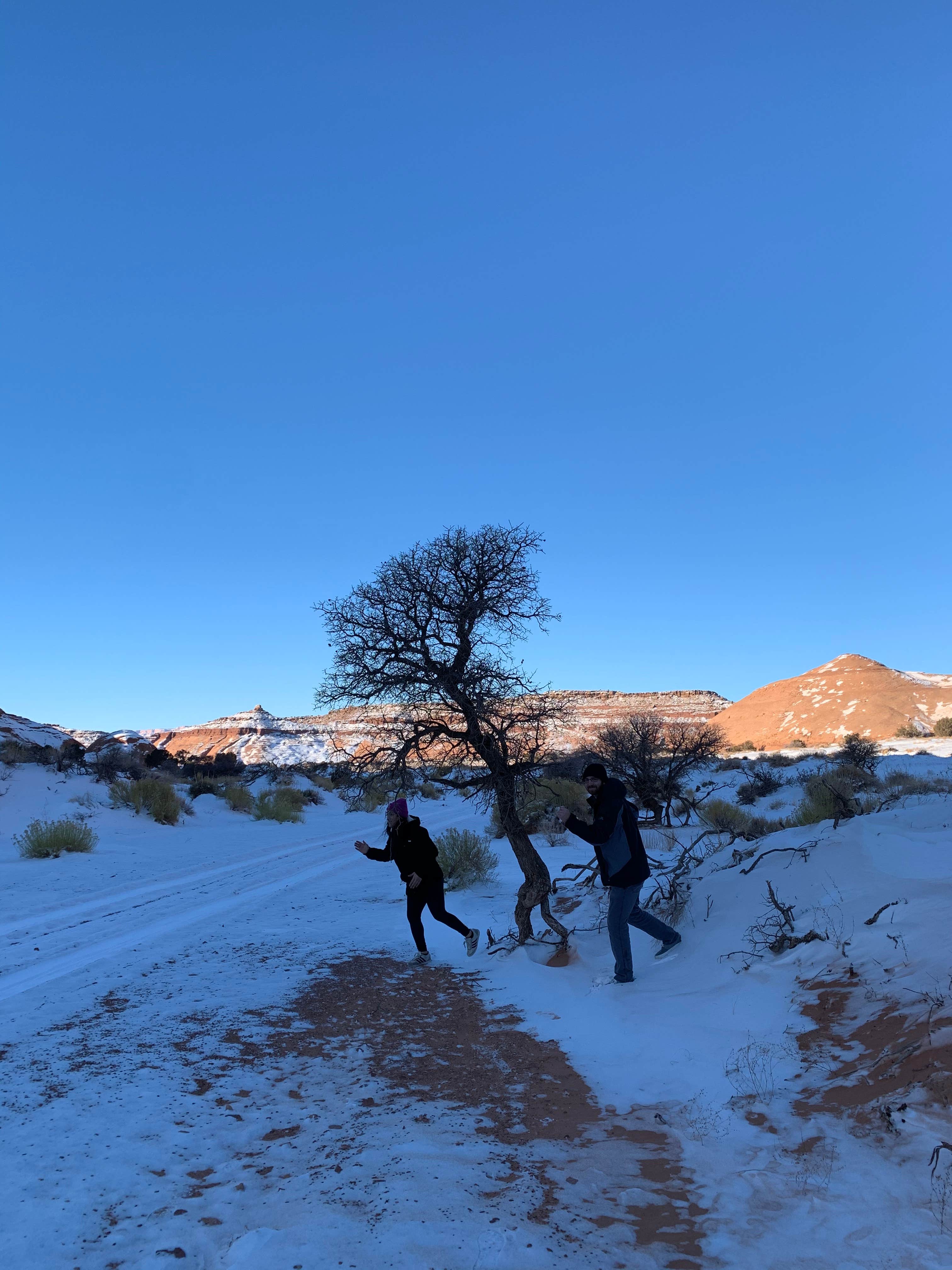 Camper submitted image from Rent A Tent Monument Valley - 3