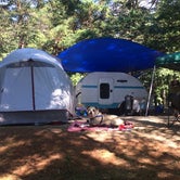 Review photo of Cobscook Bay State Park Campground by Danielle R., June 14, 2018