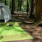 Review photo of Abrams Creek Campground — Great Smoky Mountains National Park by NOLAOnTheRoad .., July 15, 2021