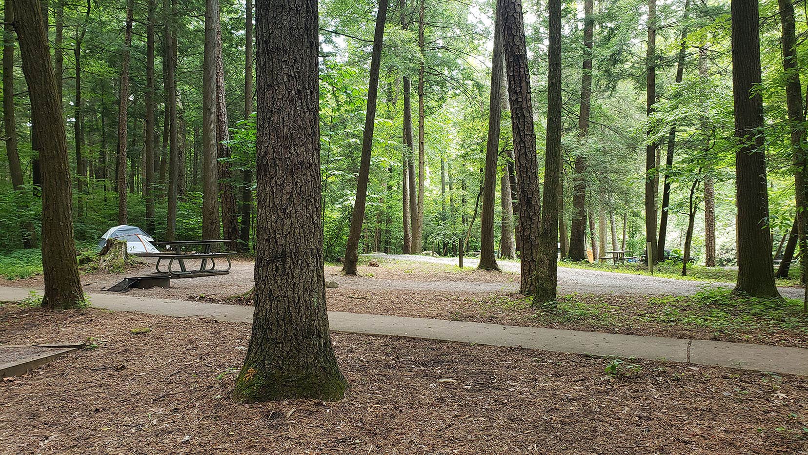 Abrams Creek Campground - Great Smoky Mountains National Park | The Dyrt