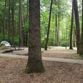 Review photo of Abrams Creek Campground — Great Smoky Mountains National Park by NOLAOnTheRoad .., July 15, 2021